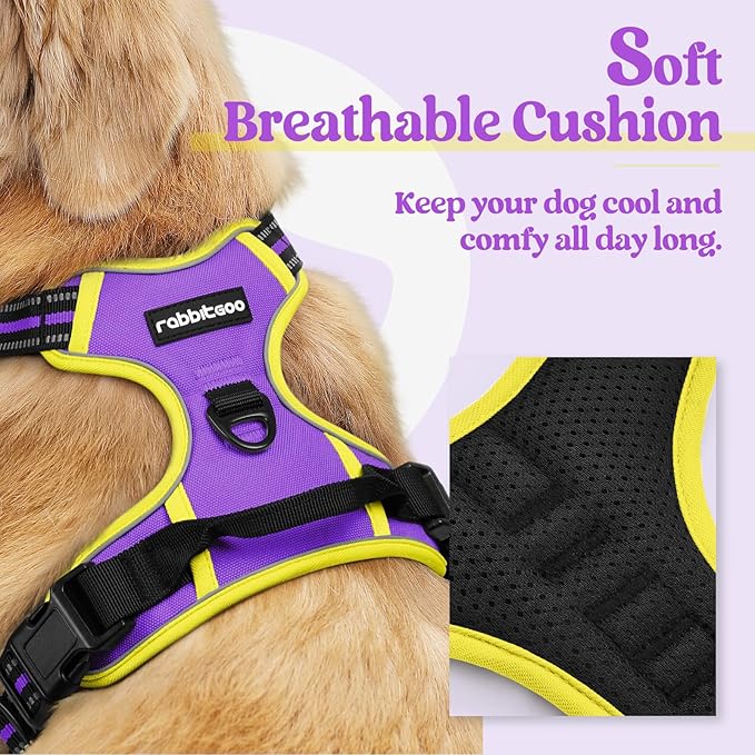 rabbitgoo Dog Harness, No Pull for Small Dogs with 2 Leash Clips, Pet Vest | No Choke with Handle, Adjustable Soft Padded, Reflective, Easy Control for Walking, Purple & Yellow, Small - Image 2