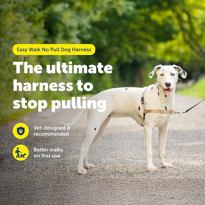 PetSafe Easy Walk Harness, No Pull Dog Harness, Fawn, Medium | Patented Martingale Loop Gives Gradual Shoulder Pressure to Stop Pulling, Front-Chest Leash Clip Prevents Gagging - Image 2