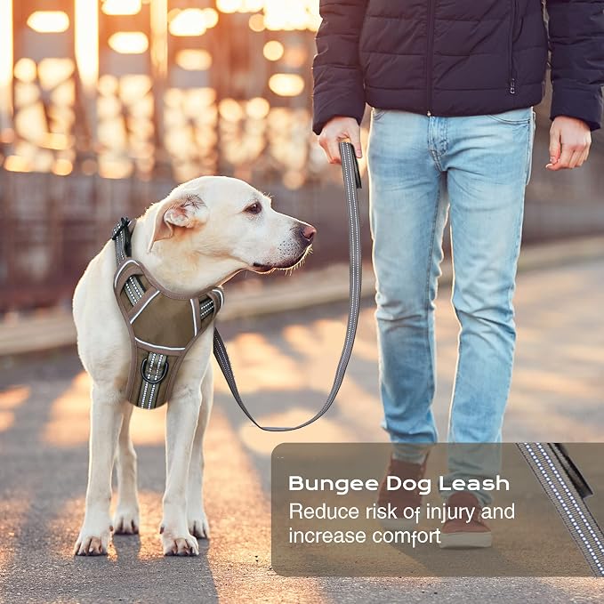 No Pull Dog Harness for Large Dogs, Adjustable No Choke Pet Vest with Dog Leash Fit Smart Reflective Pet Walking Harness for Training Easy Control Soft Handle Brown XL - Image 6