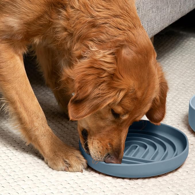 Should We Go? Slow Feeder Dog Bowls - Large Size Silicone Slow Eating Dog Bowl for Puppies & Dogs with Suction Cup -Dishwasher-Safe, Lick Mat Design, Reduces Gulping,for All Breeds,9.5”x1.5”- Ocean - Image 5