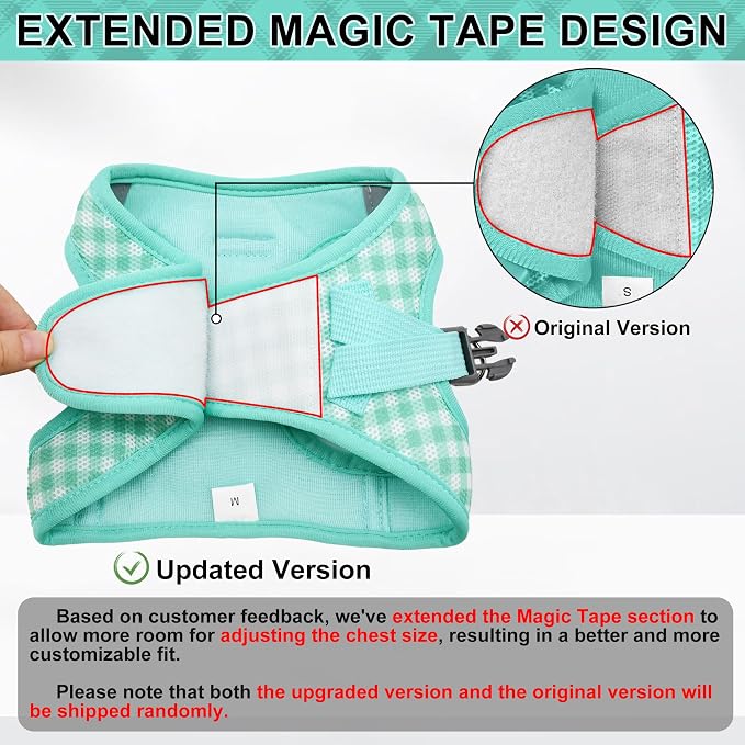 AIITLE Step in Small Dog Harness and Leash Set, Pet Vest, Turquoise S | Breathable Mesh, Adjustable Fit, No-Pull Reflective Design, Escape Proof, for Small-Medium Dogs, Outdoor Walking, Running - Image 2