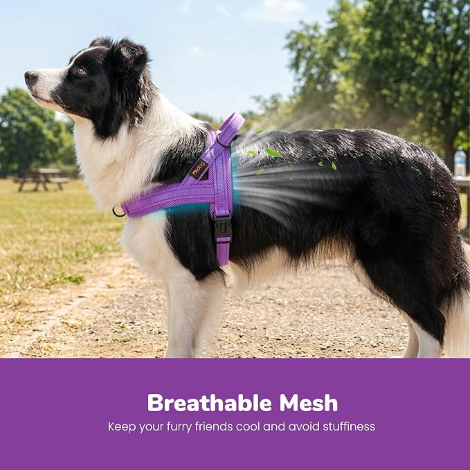No Pull Dog Harness for Medium Dogs, Breathable Mesh Padded, Purple,M | Quick Fit, Easy On and Off, Lightweight, Reflective Vest Harness for Night Safty, Easy for Walking and Training, Chest 21-26" - Image 2