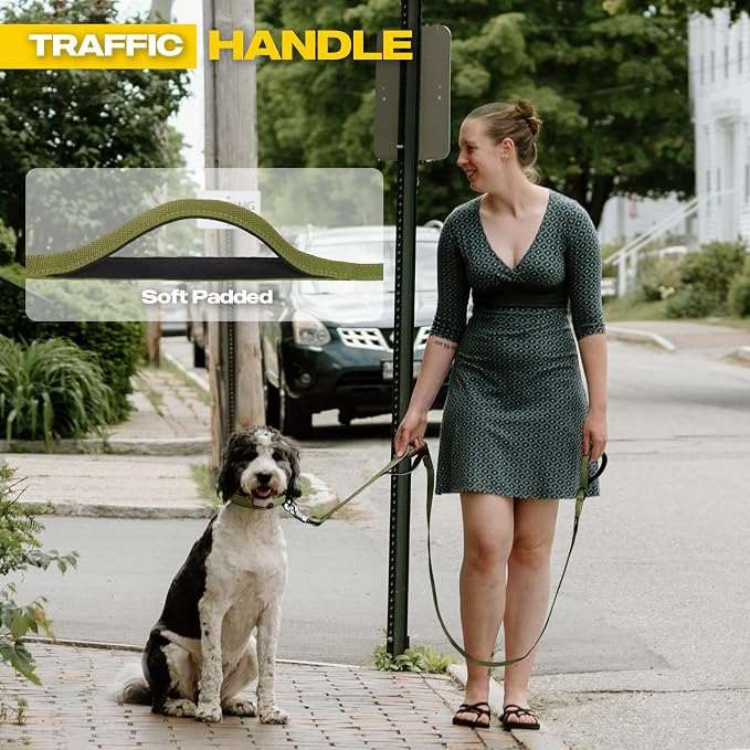 Fida 10 FT Heavy Duty Dog Leash, Dual Padded Handles for Medium Large Dogs | Traffic Handle for Close Control, Advanced Easy Snap Hook, Reflective, Strong Nylon Webbing for Long Walks & Training, Green - Image 4