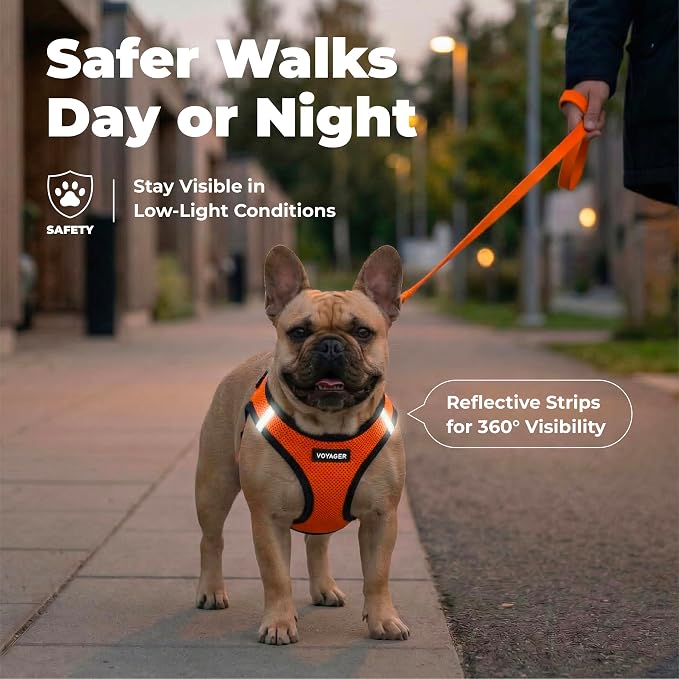 Voyager Step-in Air Dog Vest Harness - Orange/Black Trim, X-Small | 13 - 14.5" in Chest, Reflective Bands, All Weather Breathable Air Mesh, Cats Compatible, Lightweight, Fast Drying - Image 4