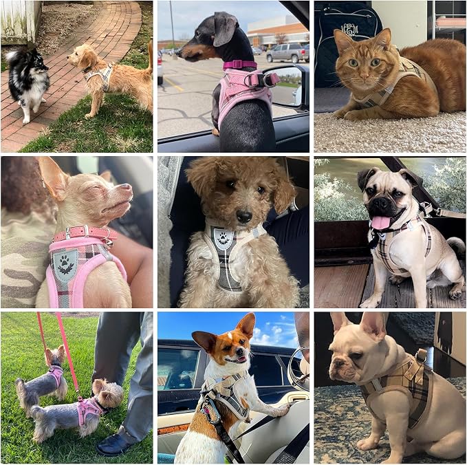 KOOLTAIL Dog Harness and Leash Set for Medium Large Dogs, Step in No Pull Soft Mesh Dog Harness Comfort Padded Pet Vest, Adjustable Reflective Easy Walking Puppy Cats Harnesses Training - Image 2