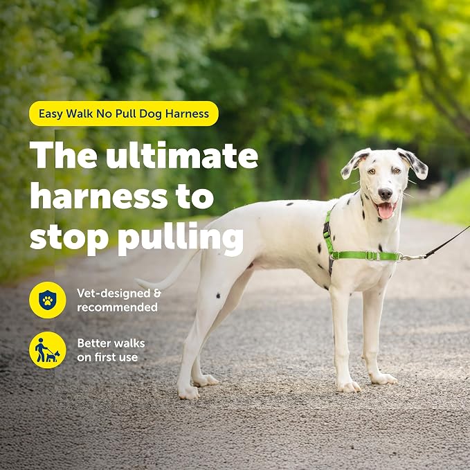 PetSafe Easy Walk Harness, No Pull Dog Harness, Apple Green, Medium/Large | Patented Martingale Loop Gives Gradual Shoulder Pressure to Stop Pulling, Front-Chest Leash Clip Prevents Gagging - Image 2