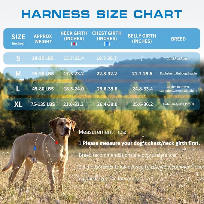 Dog Harness Medium Sized Dog, No Pull Dog Vest with Molle System | Tactical, Easy Control With Handle, Breathable Soft Padded, Adjustable, Reflective, No Choke for Walking, Blue Medium - Image 7