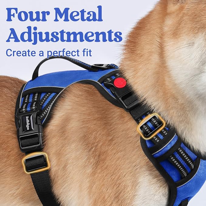 rabbitgoo Large Dog Harness, Easy Wear with 3 Buckles and Lift Handle | No Pull with Front Clip for Walking, Adjustable Soft Padded, Reflective, Easy Control, Blue, X-Large - Image 5