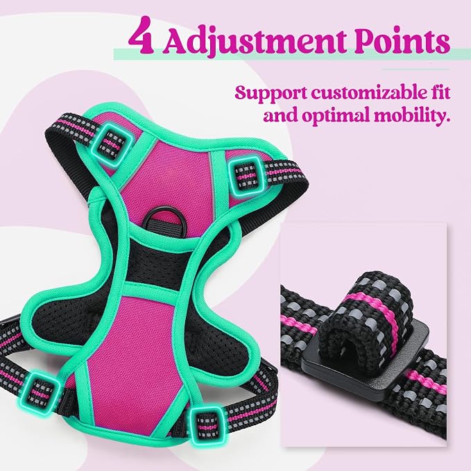 rabbitgoo Dog Harness, No Pull for Small Dogs with 2 Leash Clips, Pet Vest | No Choke with Handle, Adjustable Soft Padded, Reflective, Easy Control for Walking, Hot Pink & Turquoise, X-Small - Image 4