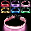 USB Rechargeable LED Dog Collar, Waterproof, Adjustable, Glowing, for Medium Dogs, Night Walking, Camping, Jogging, Pink, M (Neck 15-24", Width 1") by Aiminto-Alwaysyourgoodmate