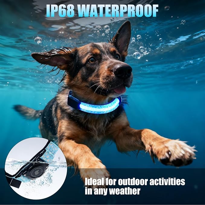 LED AirTag Dog Collar - Brightest Light Up Dog Collars, Daisy L | IP68 Waterproof Air Tag Dog Collar Holder, 1,600 Feet of High Visibility, Magnetic Charging, Dog Lights for Night Walking - Image 3