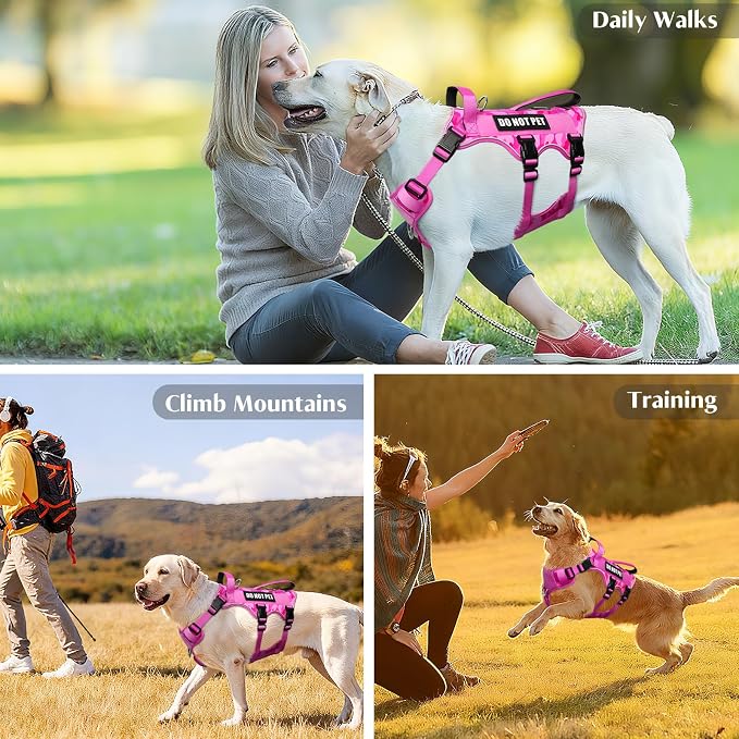 WINSEE Escape Proof Dog Harness with Double Handle+4 Removable Patches | Service Working Molle Harness with Double Handle for Large Dogs, Tactical Pet Reflective Vest for Walking Hiking Hunting - Image 9