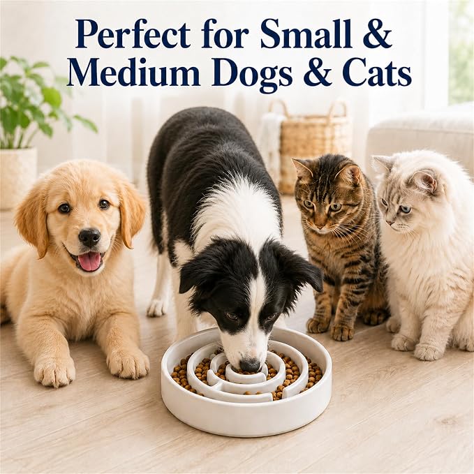 Ceramic Slow Feeder Dog Bowl 1.5 Cup Puzzle Dish for Small Medium Dogs | Glazed ceramic maze bowl with 1.5-cup capacity for dry or wet food, sized for small and medium dogs - Image 3
