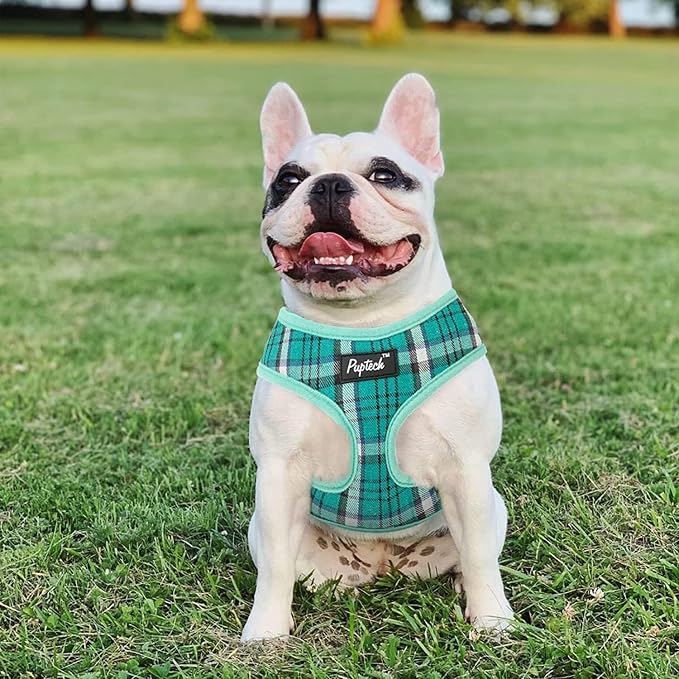 PUPTECK Small Dog Harness and Leash Set No Pull for XS XXS Sized Dogs Puppy | Escape Proof No Choke Pet Cat Adjustable Soft Padded Walking Vest - Image 7