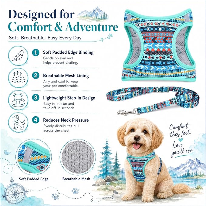 Step in Boy Dog Harness Leash Set- All Weather Reflective No-Pull Padded Mesh Vest Harness for Cats Puppy Extra-Small Small Medium Large Dogs - Mayan Mysteries - S - Image 2