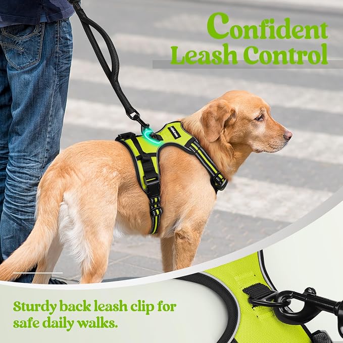 rabbitgoo Dog Harness, No Pull Medium Sized with 2 Leash Clips, Pet Vest | No Choke with Handle, Adjustable Soft Padded, Reflective, Easy Control for Walking, Wild Lime, Medium - Image 6
