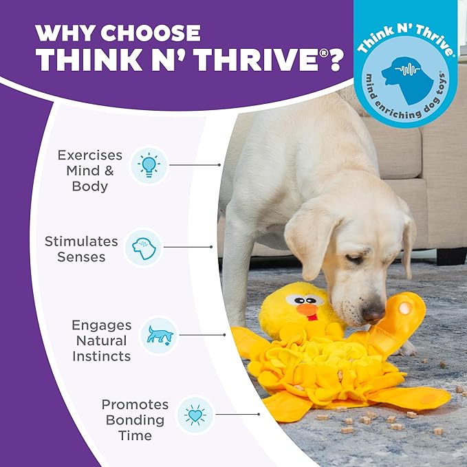 Outward Hound Nina Ottosson Snuffle Palz Squeaky Dog Toy, Chicken, 13.4" | Plush Snuffle Mat, Hidden Treat Pockets, Slow Feeder, Interactive Foraging, Non-Slip Base, Dogs & Puppies - Image 6