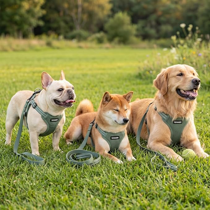 Best Pet Supplies Voyager Adjustable Step-in Flex Breathable Mesh Dog Harness for Small Medium Large Dogs Leash Set (Moss Green), L - Image 6