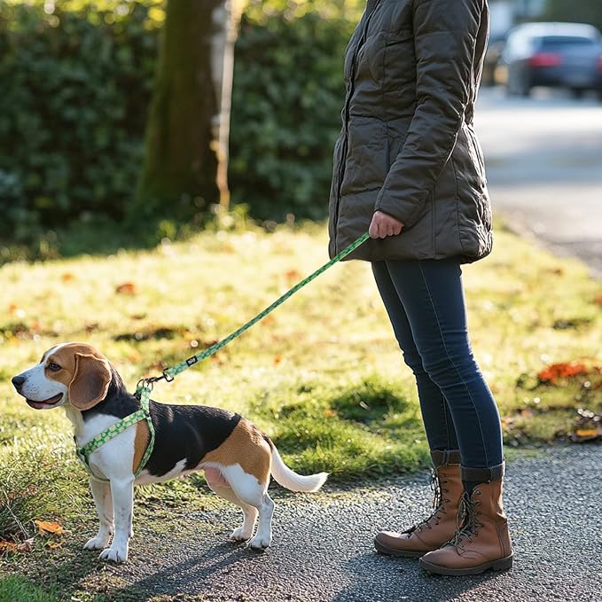 Dog Harness Leash Set Adjustable Heavy Duty No Pull Halter Harnesses for Small Medium Large Breed Dogs Back Clip Anti-Twist Perfect for Walking - Image 8