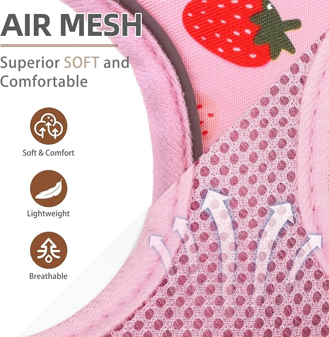 PUPTECK Small Dog Harness and Leash Set No Pull for XS XXS Sized Dogs Puppy | Escape Proof No Choke Pet Cat Adjustable Soft Padded Walking Vest - Image 2