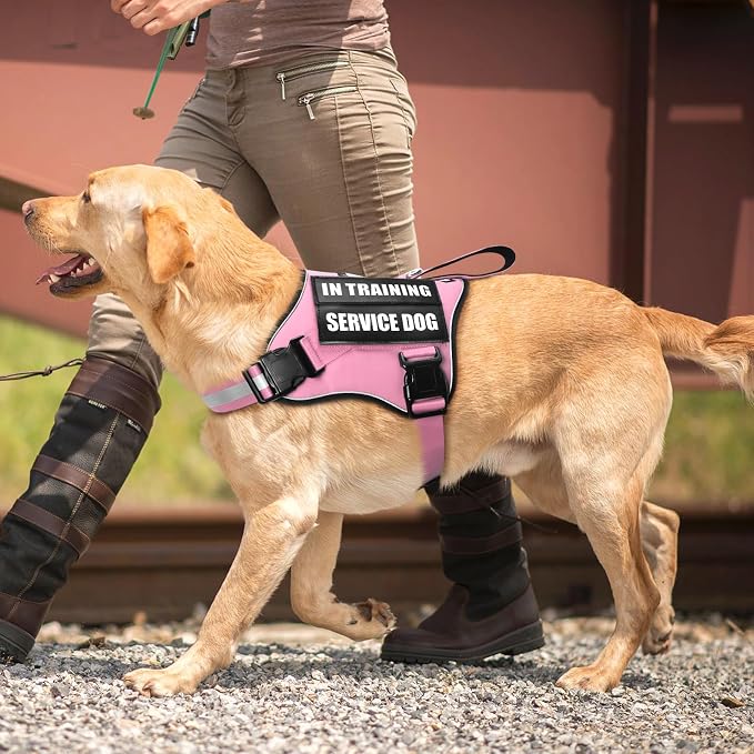 Service Dog Vest Harness and Leash Set+10 Patches,No Pull&Easy Walk Reflective Dog Harness with Soft Padded Handle for Training/Everyday,Fit Small/Medium/Large/Extra-Large Dogs (Pink L) | No Pull&Adjustable Reflective Dog Harness Large Sized,Dog Leash ... - Image 7
