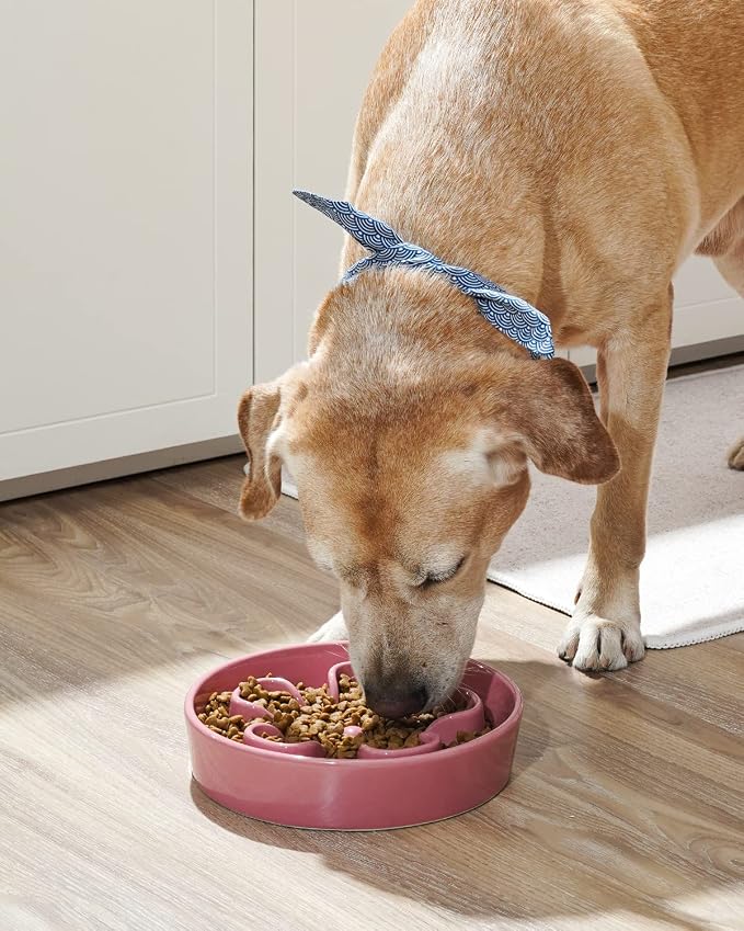 LE TAUCI Slow Feeder Dog Bowls Ceramic,3 Cups Slow Feeding Dog Bowl Medium Large Breed, Pet Bowl for Fast Eaters, Puzzle Pet Dishes, Pink Bloom - Image 2