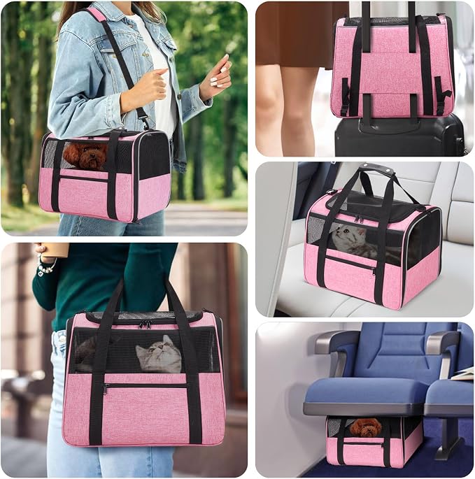 JUNGYOUN Premium ​Cat Carrier - ​Pet Carrier for Cat & Small Dogs up to 15lbs - ​Airline Approved Travel Dog Carrier with Anti-Escape Zippers, Collapsible Travel Bowl & Padded Strap - Image 2