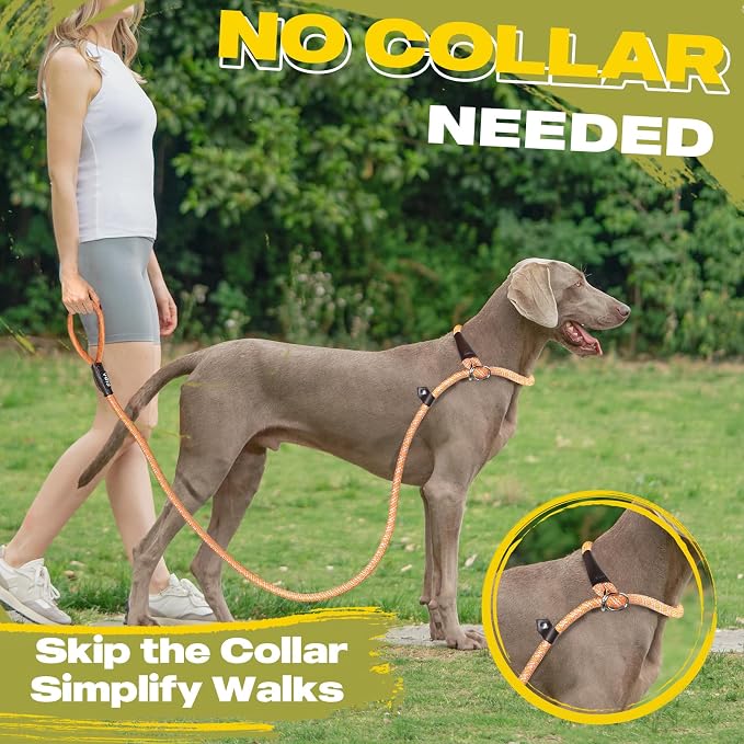 Fida Durable Slip Loop Lead for Large, Medium Dogs, 6 FT x 1/2" Heavy Duty, Comfortable Strong Rope, No Pull Pet Training Leash with Highly Reflective, Orange - Image 5