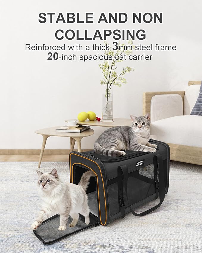 Soft-Sided Large Cat Carrier for 2 Cats, Spacious Foldable Pet Travel Carrier for Large Cats up to 25 Lbs, Double Cat Bag with Shoulder Strap, 20x13x13 Inch, Fits Maine Coon and Small Dogs, Black | Spacious 20×13×13 in design with reinforced frame for ... - Image 3