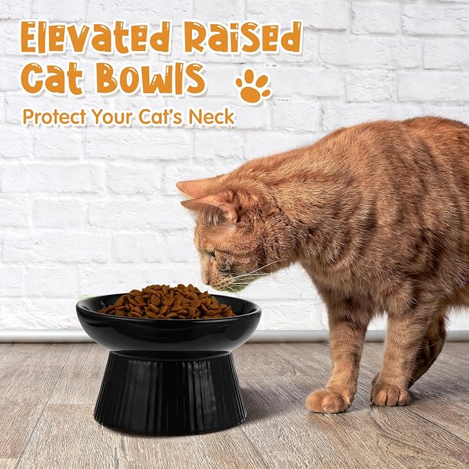 Tioncy 2 Pcs Ceramic Elevated Slow Feeder Cat Bowl, Raised Cat Slow Feeder Bowl, Anti Vomiting for Dry and Wet Food, No Spill High Edge Easy Clean Dishwasher Safe (Dark Green,Black) - Image 6