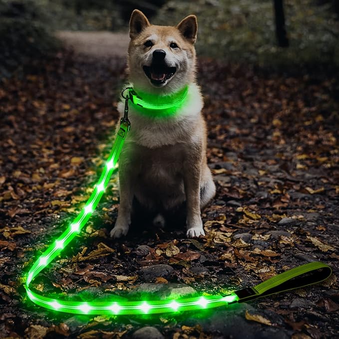 Illumifun LED Dog Leash, USB Rechargeable Glowing Light Up Dog Leash, Nylon Flashing Safety Pet Light for Night Walking (GreenⅡ) by Illumifun