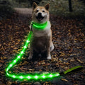 Illumifun LED Dog Leash, USB Rechargeable Glowing Light Up Dog Leash, Nylon Flashing Safety Pet Light for Night Walking (GreenⅡ) by Illumifun