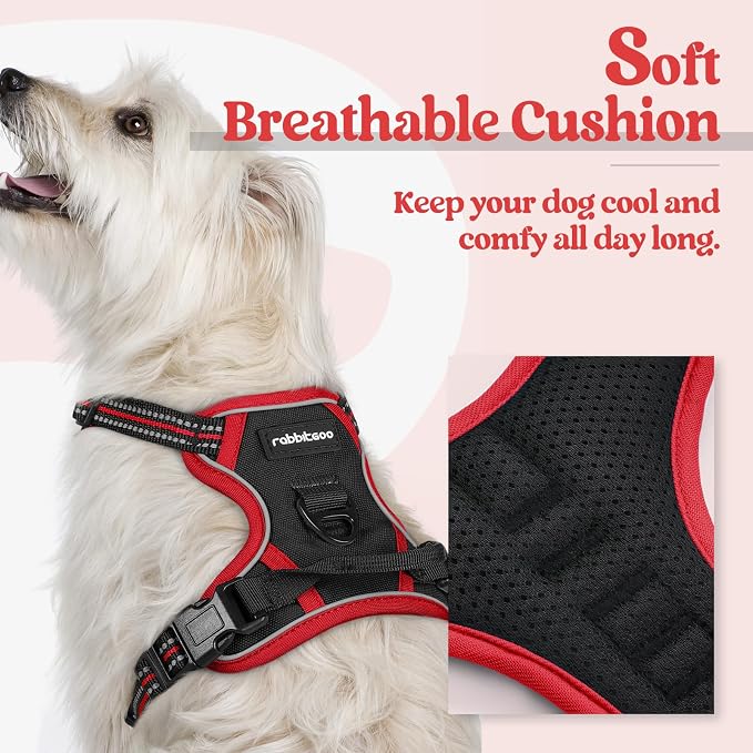 rabbitgoo Dog Harness, No Pull for Small Dogs with 2 Leash Clips, Pet Vest | No Choke with Handle, Adjustable Soft Padded, Reflective, Easy Control for Walking, Black & Red, X-Small - Image 2