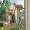 Pecute Double Cat Shelves with Scratching Post for Wall & Window | Solid Wood Frame, Strong Suction Cups, Washable Cover Mat, Cats Perch Bed for Birds Watching Inside, Indoor Cat Hammock Bed by pecute