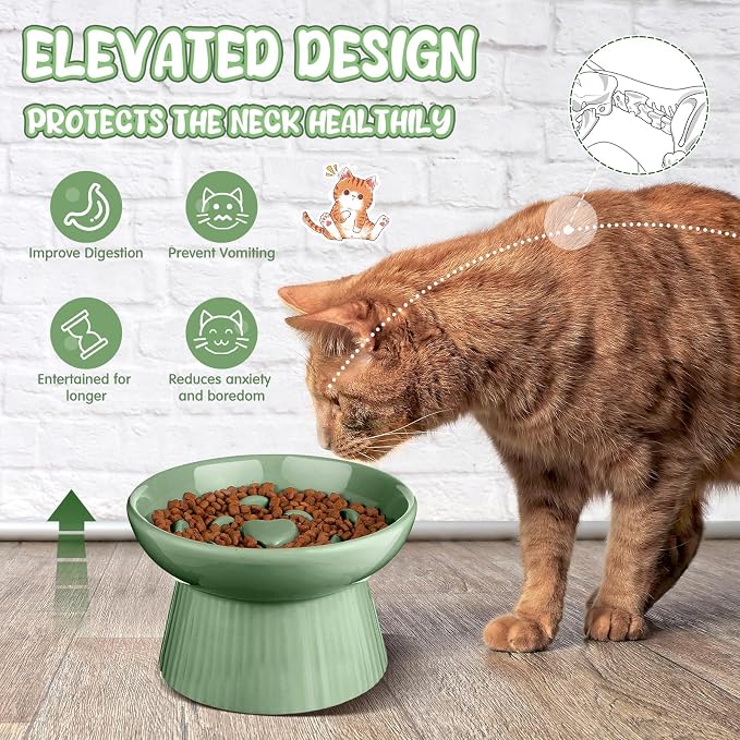 Tioncy 2 Pcs Ceramic Elevated Slow Feeder Cat Bowl, Raised Cat Slow Feeder Bowl, Anti Vomiting for Dry and Wet Food, No Spill High Edge Easy Clean Dishwasher Safe (Sage Green) - Image 4