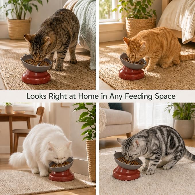 Ceramic Slow Feeder Cat Bowl, 15-Degree Tilted Non-Slip | Food-Grade Ceramic For Indoor Cats, 5.3 In Shallow Bowl, Whisker-Friendly, Dry And Wet Food, Dishwasher Safe - Image 8