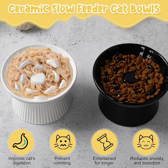 Tioncy 2 Pcs Ceramic Elevated Slow Feeder Cat Bowl, Raised Cat Slow Feeder Bowl, Anti Vomiting for Dry and Wet Food, No Spill High Edge Easy Clean Dishwasher Safe (Black,White) - Image 4