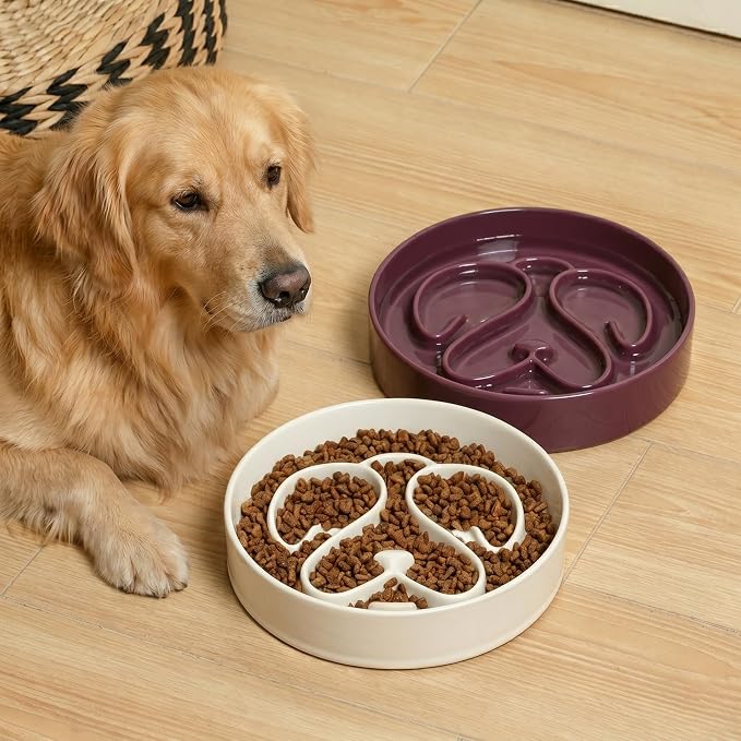 Ceramic Slow Feeder Dog Bowl, Dog Bowls 1.5 Cup Slow Feeding Bowl, Anti -Slip Pet Food Dish for Small and Medium Breed, Puzzle Dog Food Bowl for Fast Eater（White） - Image 7