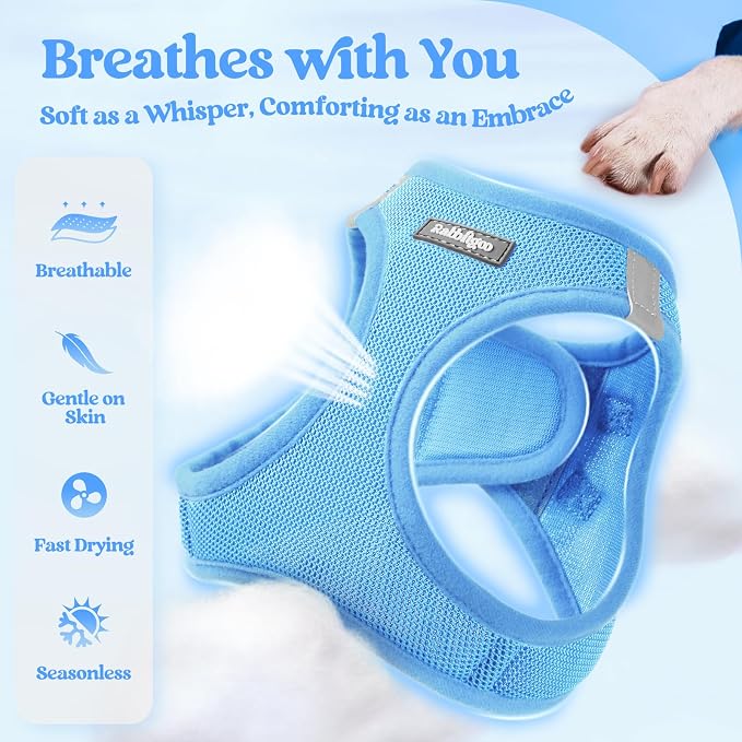 rabbitgoo Dog Harness Small Sized and Leash Set, Step-in Puppy Pet Vest | Light, Soft, Breathable Air Mesh, Easy on and Remove with Hook & Loop, Secure Reflective for Walking, Blue XS - Image 3