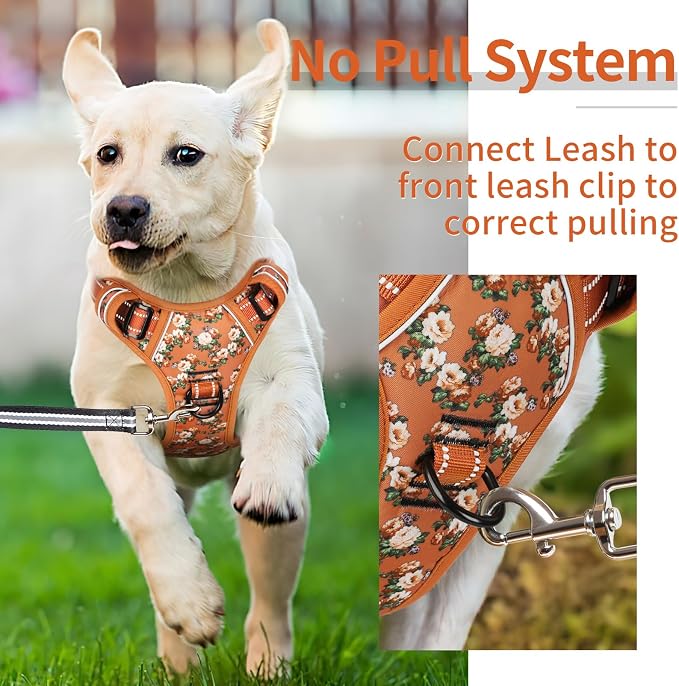 HEELE Dog Harness, No Pull Adjustable Padded Reflective Harness for Small Medium Large Dogs with Handle for Walking Training, Flower-Orange,XL | Front Clip for Large Dog Harness, 2 Metal Rings with Handle, Adjustable, Soft Breathable Padded Pet Vest fo... - Image 5
