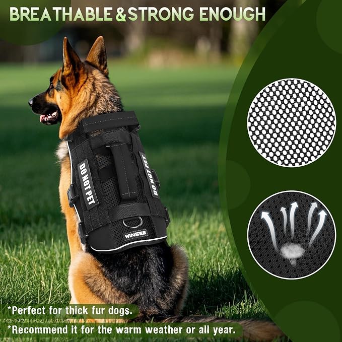 WINSEE Tactical Molle Vest Mesh Dog Harness with 10 Removale Pet Patches | Breathable Service Dog harness with Double Soft Padded Handle for Large Dog, Reflective Military Pet Vest for Walk Hiking - Image 2