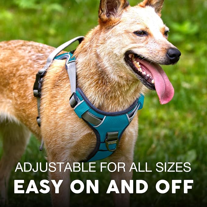 Embark No Pull Dog Harness, Reflective Adjustable Training Vest, No Choke | Adjustable straps fit all dog breeds with sturdy hooks; 360° reflective trim, soft padded Harness Design for All Dogs - Image 4