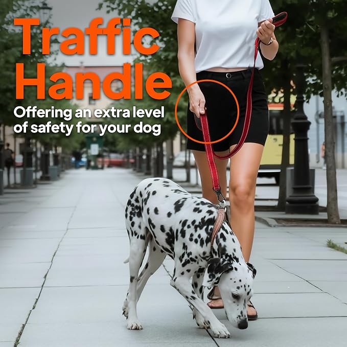 Twoear 4FT 1IN Heavy Duty Dog Leash for Large Dogs with 2 Padded Handles | Traffic Handle Extra Control, Auto Lock Hook, Strong Reflective Walking Leash for Night Safety, Medium and Large Breeds,Blue - Image 6