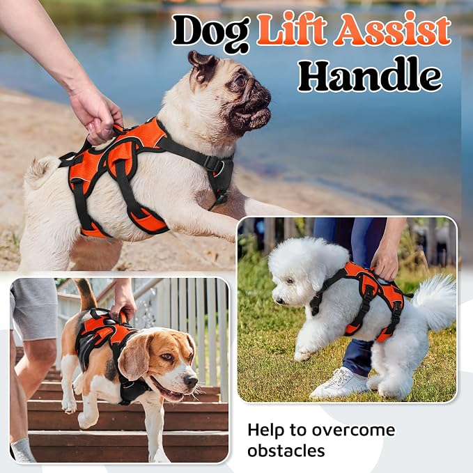 rabbitgoo Escape Proof Dog Harness for Small, No Pull with Lift Handle | No Escape, Full Soft Padded, Reflective Adjustable Vest, Leash Clip for Walking Hiking Training, Orange, Small - Image 3
