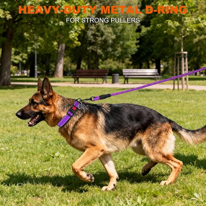 Taglory Reflective Dog Collar for Large Dogs, Soft Neoprene Padded with Escape-Proof Locking Buckle, Upgraded Zinc Alloy Ring, Adjustable for Pitbull Labrador Retriever, Purple,L - Image 6