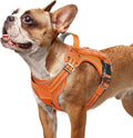 rabbitgoo Tactical Dog Harness for Small Dogs, No Pull Service Pet Vest | Military Molle System & Easy Control Handle, Adjustable and Reflective for Walking and Training, Orange, Small by rabbitgoo