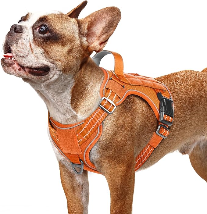 rabbitgoo Tactical Dog Harness for Small Dogs, No Pull Service Pet Vest | Military Molle System & Easy Control Handle, Adjustable and Reflective for Walking and Training, Orange, Small by rabbitgoo