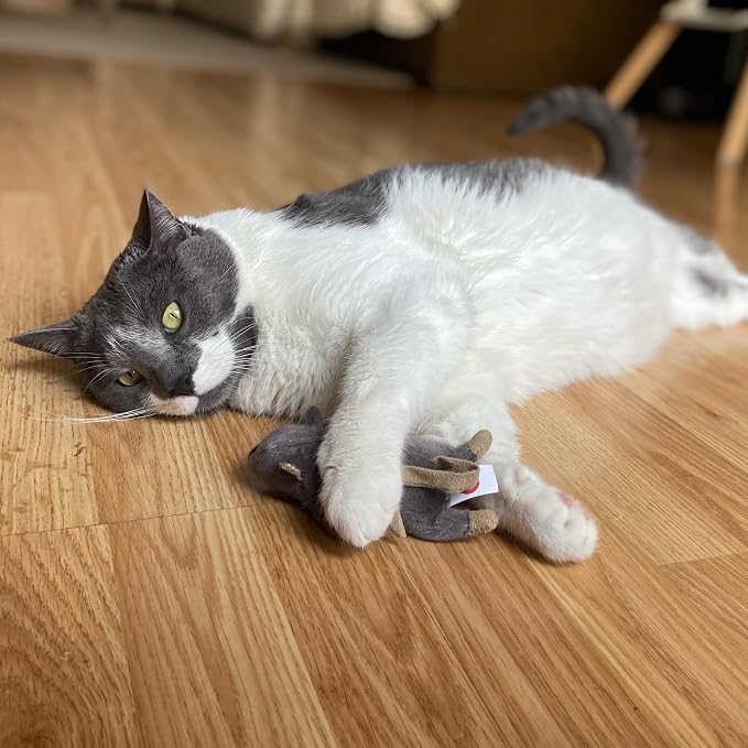 SPOT Flat Mouse Frankie with Catnip - Cat Toy, Fuzzy Mice with Catnip and Crinkle Sound, Perfect Size for Pouncing on, Chasing, Hunting - 5.5in Plush Toys, Assorted Colors - Image 9