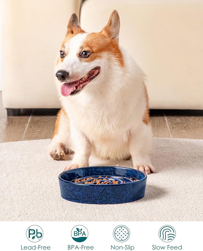 vancasso Slow Feeder Dog Bowl, 1.5 Cup Ceramic Slow Feeding Food Dish for Small and Medium Breed, Puzzle Dog Food Bowl for Fast Eater, Blue - Image 5