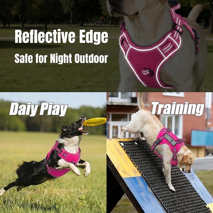 3-in-1 Dog Vest Harness Leash Set for Daily,Service,Training Animal X Large - Image 7
